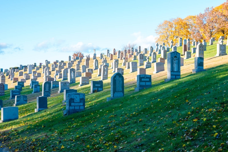 calvary cemetery mary bulger calvary cemetery mary bulger